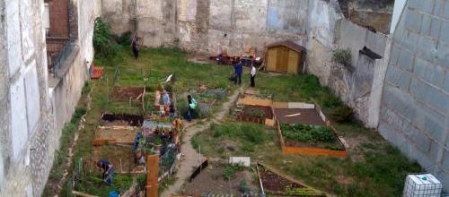 Une nouvelle vue du jardin