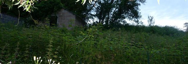 Au jardin