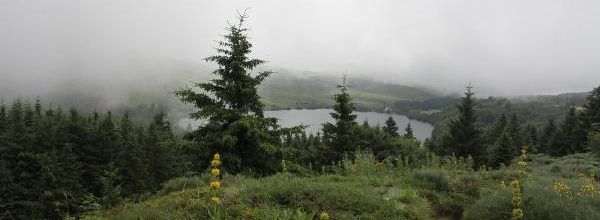Auvergne 2024 : 3- le massif du Sancy