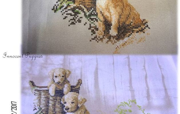 Innocent Puppies (4)