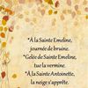 Dictons et Fête du jour Emeline + grille prénom ! 