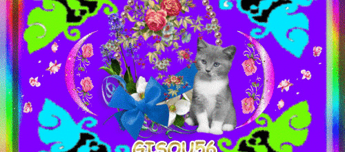 CREA FLEURS CHAT
