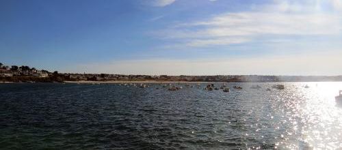 Bretagne mai 2014 (17) - Ile de Sein (1/4)