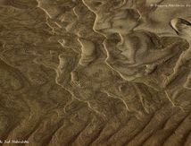Dessins sur la plage...