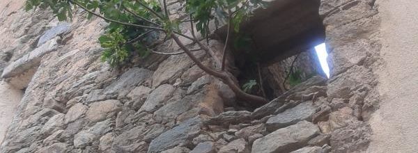 Dans mon jardin 
