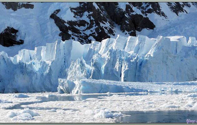 Images glacées (glaciers et icebergs) - Baie du Paradis - Péninsule Antarctique