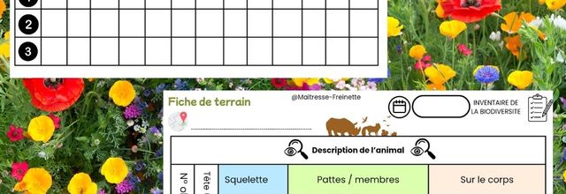 Classe dehors - fiches de terrain