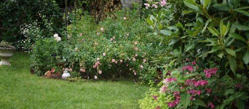 C'est l'été dans le jardin de Patou