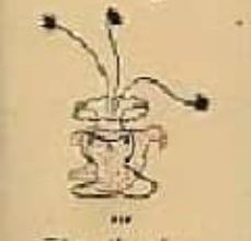 ROMANCERO GITANO EBOOK | FEDERICO GARCIA LORCA | Descargar libro PDF EPUB