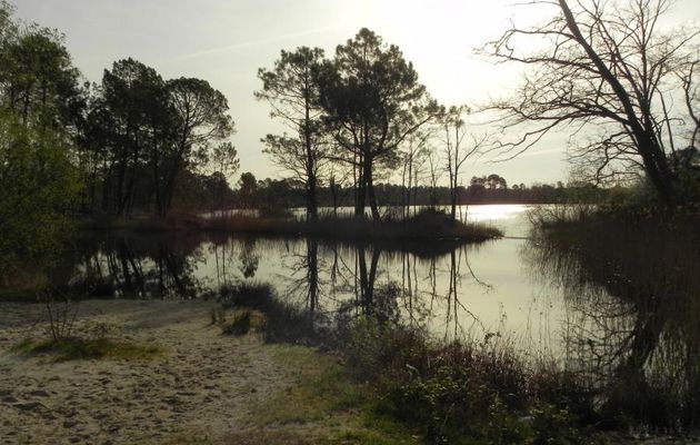 lac d'Hostens en Gironde  (2) 