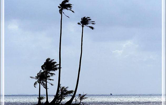 Motu, oui, mais pour combien de temps encore ? - Raiatea - Polynésie française
