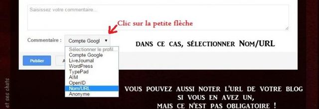 Commentaire Blogger-Blogspot