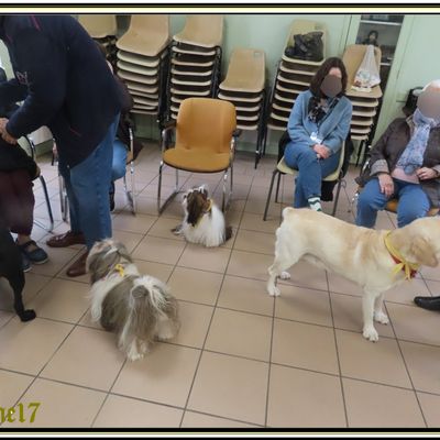 Visite à l'Ehpas de Vindells avec les 4 filles.........