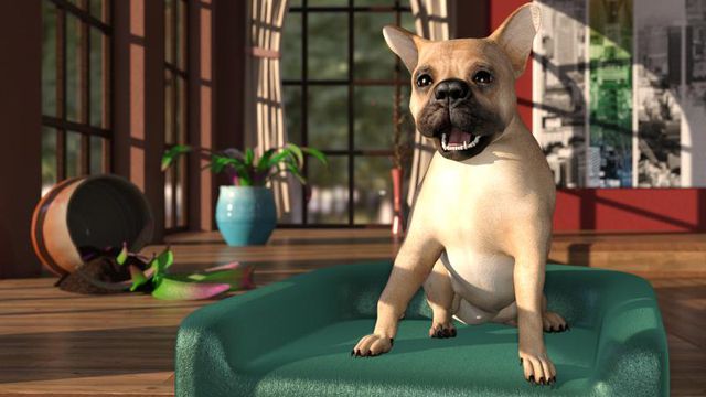 Un petit chien pas sage du tout (Daz Studio)