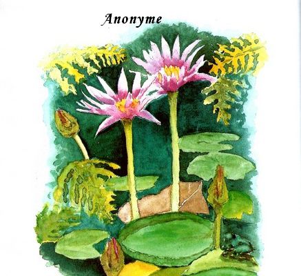 Citations en images : Pardonner.....