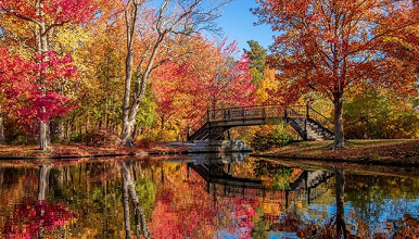 Les régions stars de l'automne ... 