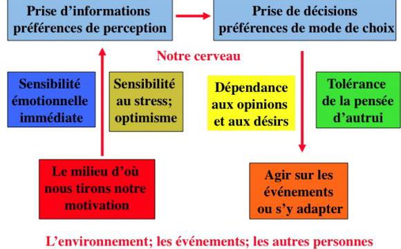 Préférences cérébrales et entente dans un couple (1) Extraverti, introverti.