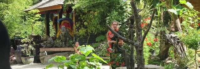 Tropical parc (la suite) 