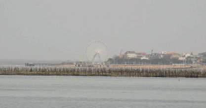 R 20 /   CR - CAP FERRET