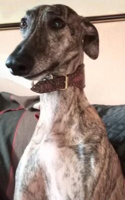 3 ans de mon filleul 