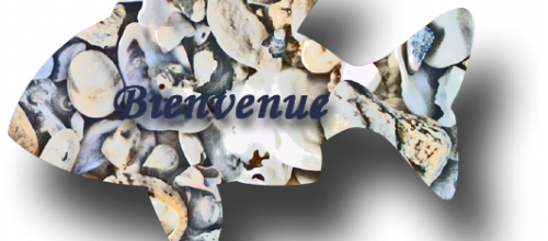 Bienvenue