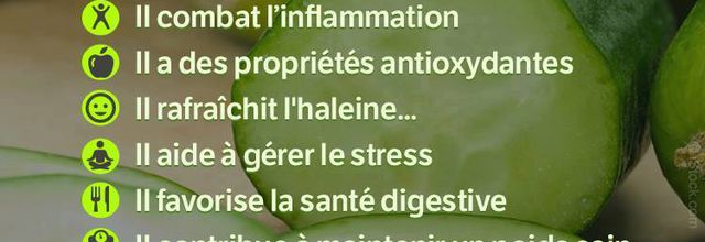 Le concombre