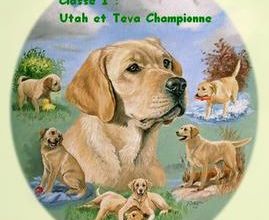 19 Avril 2008 : Classe 1 à Condat sur Vienne (87)