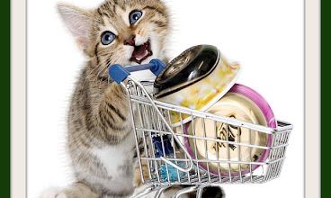 Association Nid'Accueil