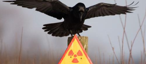 Petits mensonges nucléaires entre amis 