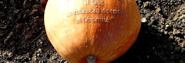Découvrir la Moselle / Dans le potager des Jardins Fruitiers de Laquenexy...