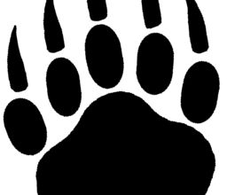 Les aventures des Banquisards 