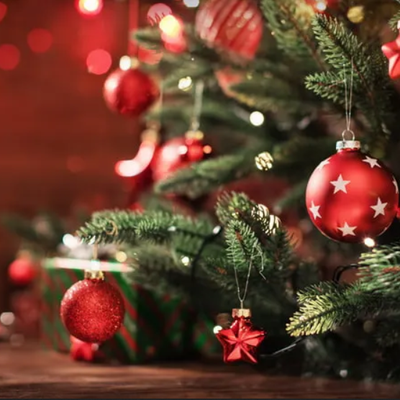 Tarte Chocolat-Agrumes