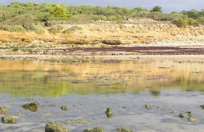 la plage de payre en Vendée