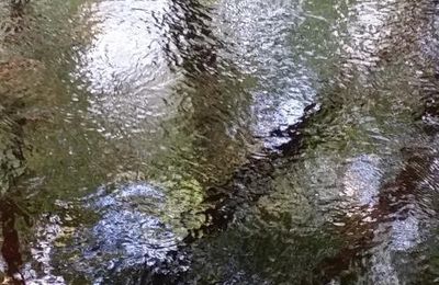 D'ambre et de vif argent