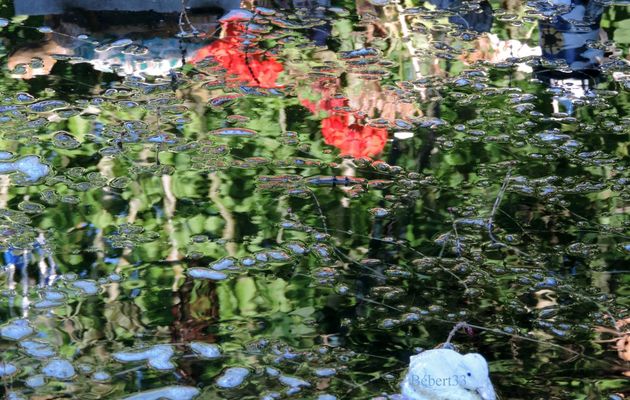 Recherche de reflets !