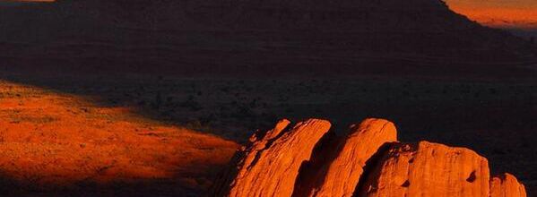 Les géants d'Arizona