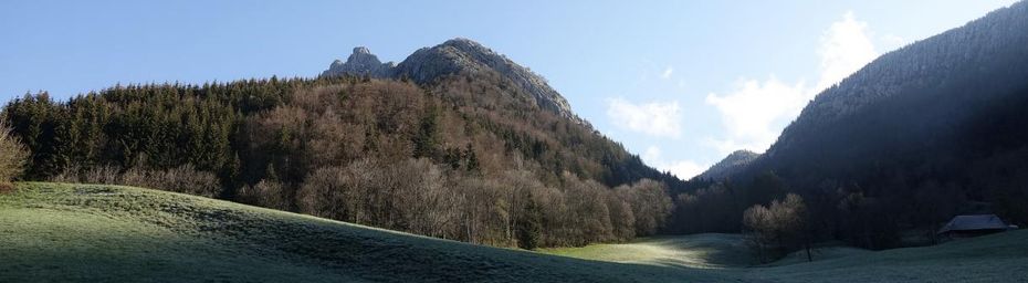 Dans la fraicheur du vallon de la Frasse