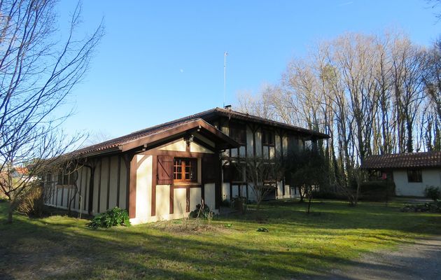Azur dans les Landes -2