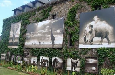 La GACILLY, festival PHOTO 2010