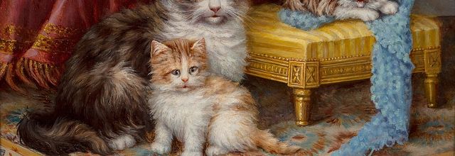 Tableau du samedi 260 : Fil à chatons