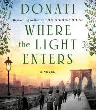 Book for download Where the Light Enters