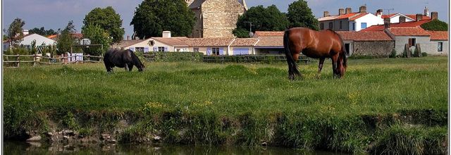 85 . Vendée - Sallertaine (2)