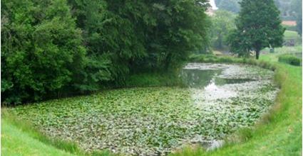 Mon Chemin de Compostelle - 13