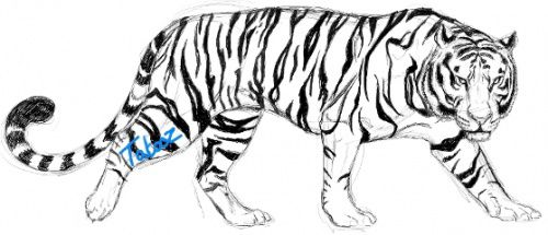 Cadeau pour ma maman: le tigre roux