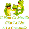 Cartonnettes - Grenouille ! 2014