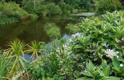 La promenade fleurie (encore)