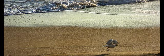 Week-end ...