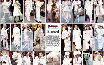 mode fashion street bill cunnigham
