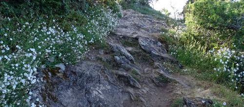 Escapade à Groix (2/4)