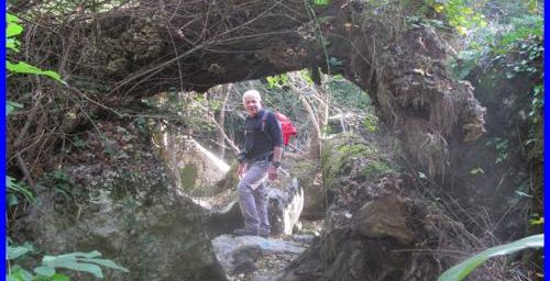 Les gorges du Caramy